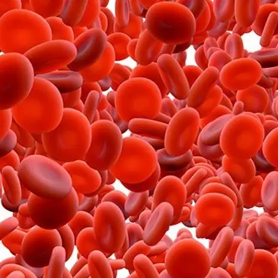 red blood cells; rbc count
